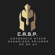 Consorcioatenaseg.com